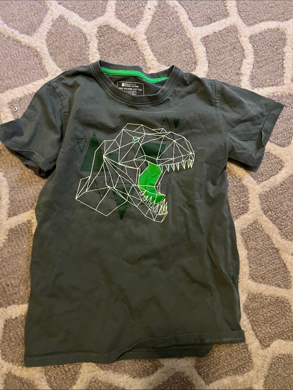 Mountain warehouse Short-Sleeve Tee with Green Geometric T-Rex